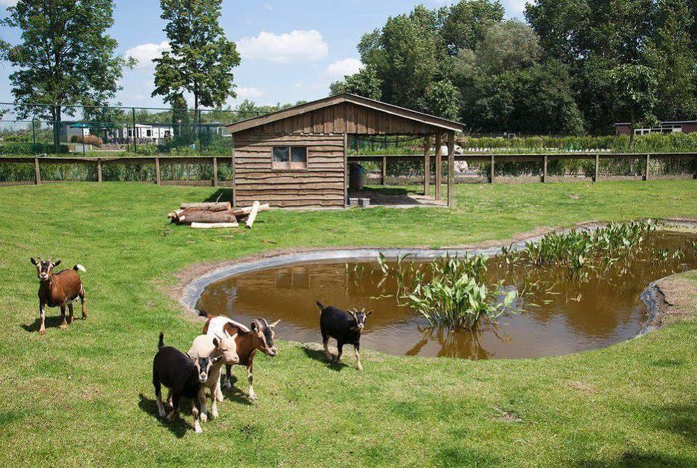 Hotel EuroParcs De Biesbosch Willemsdorp Exterior foto